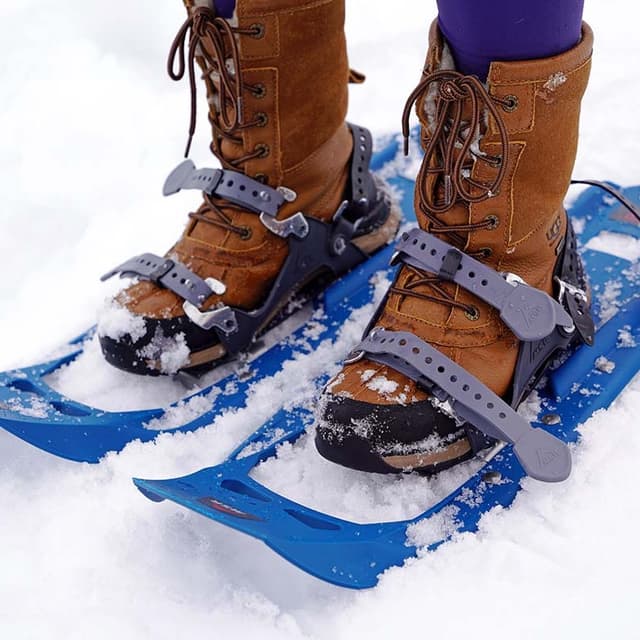 Snowshoe